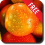 fruits and water free android application logo